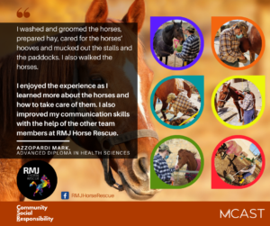 Azzopardi mark rmj horse rescue
