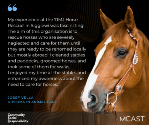 Josef vella rmj horse rescue