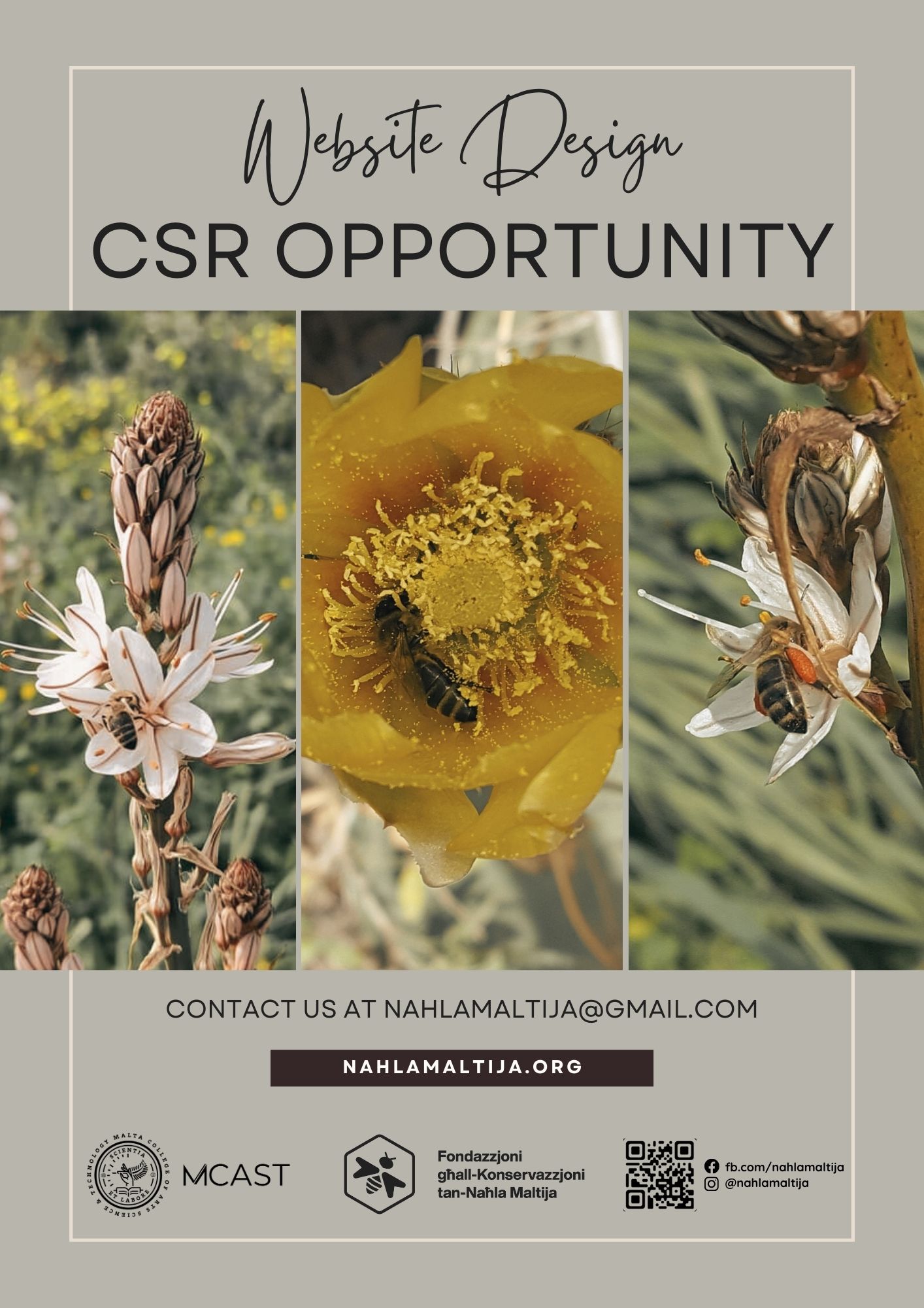 KNM CSR Opportunity - Website Design