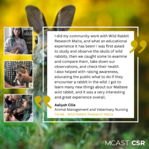 Mcast csr aaliyah cilia fenek wild rabbit research malta