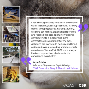 Mcast csr kaya cutajar csaf