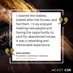 Mcast csr kylie camilleri rmj horse rescue