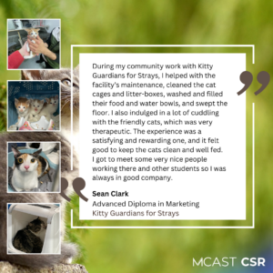 Mcast csr sean clark kitty guardians for strays