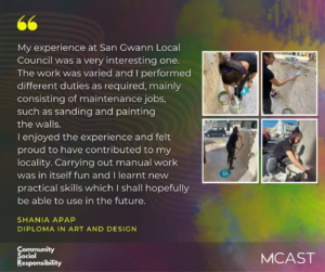 Shania apap san gwann local council