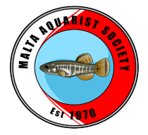 Aquatic