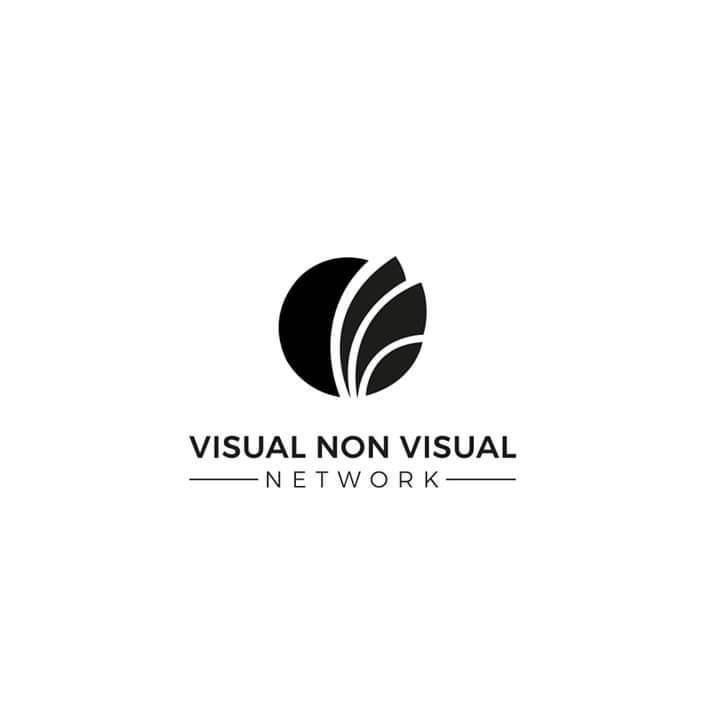visual non visual network logo